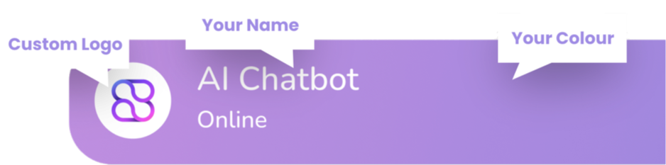 Branding customization preview